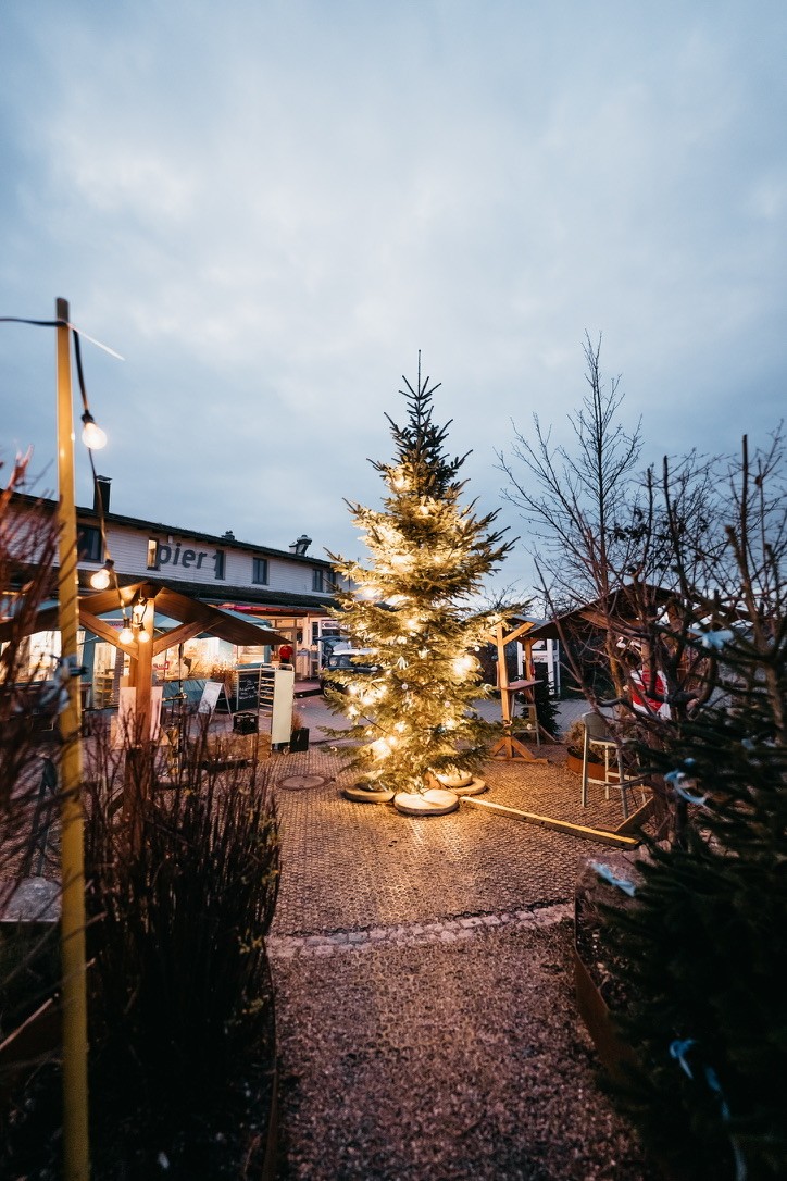 Weihnachtsbaum